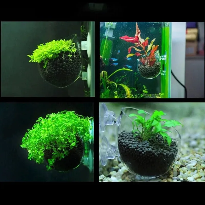 Aquatic Plant Nursery Pot & Cultivation Cup - Aquatic Fish Tank Plant Pot Suction Cup