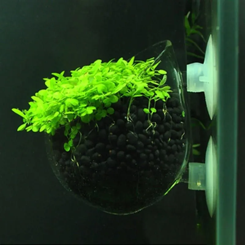 Aquatic Plant Nursery Pot & Cultivation Cup - Aquatic Fish Tank Plant Pot Suction Cup