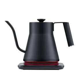 Baristan Gooseneck Kettle