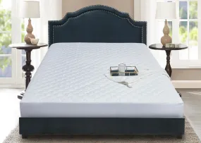 Blue Ridge Home Damask Dot Cotton Top Mattress Pad