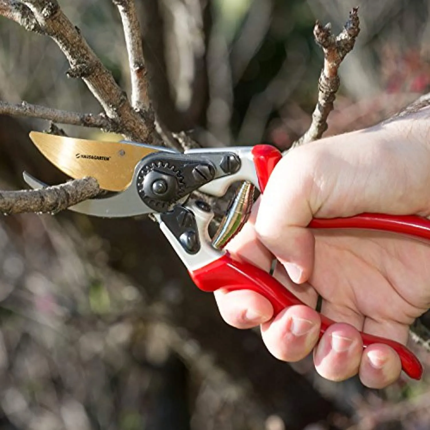 EnduroPRO Titanium Pruning Shears - Best Garden Shears, Tree Trimmer, Hand Pruner - Ideal Branch,Hedge, Shrub & Bush Clippers -Razor Sharp Bypass Secateurs Ergonomic Gardening Tool for Effortless Cuts