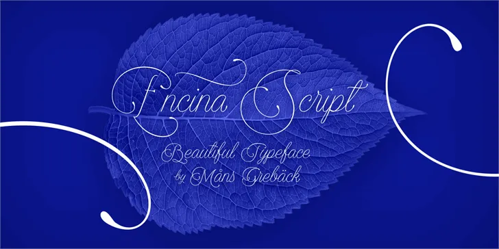 Free Encina Script 1 Font