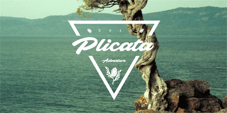 Free Plicata Font