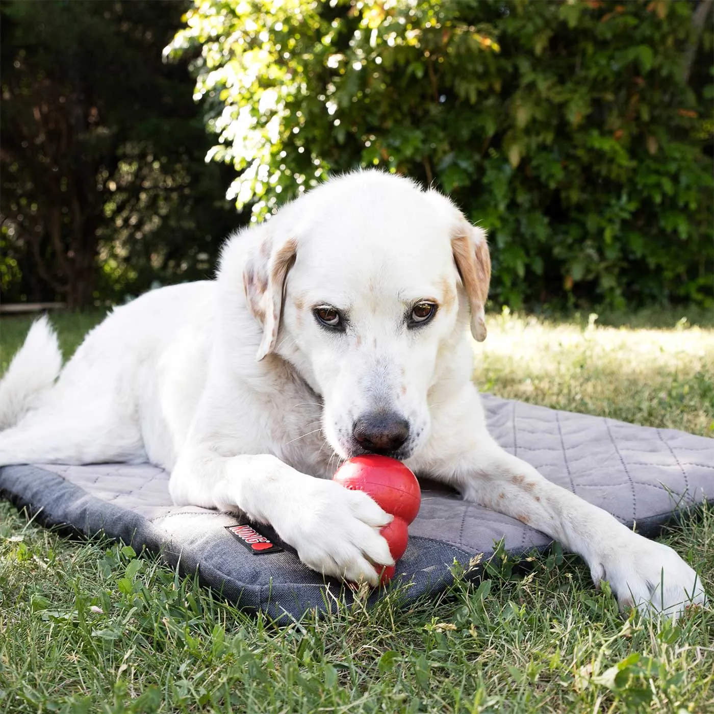 KONG Fold-Up Travel Mat