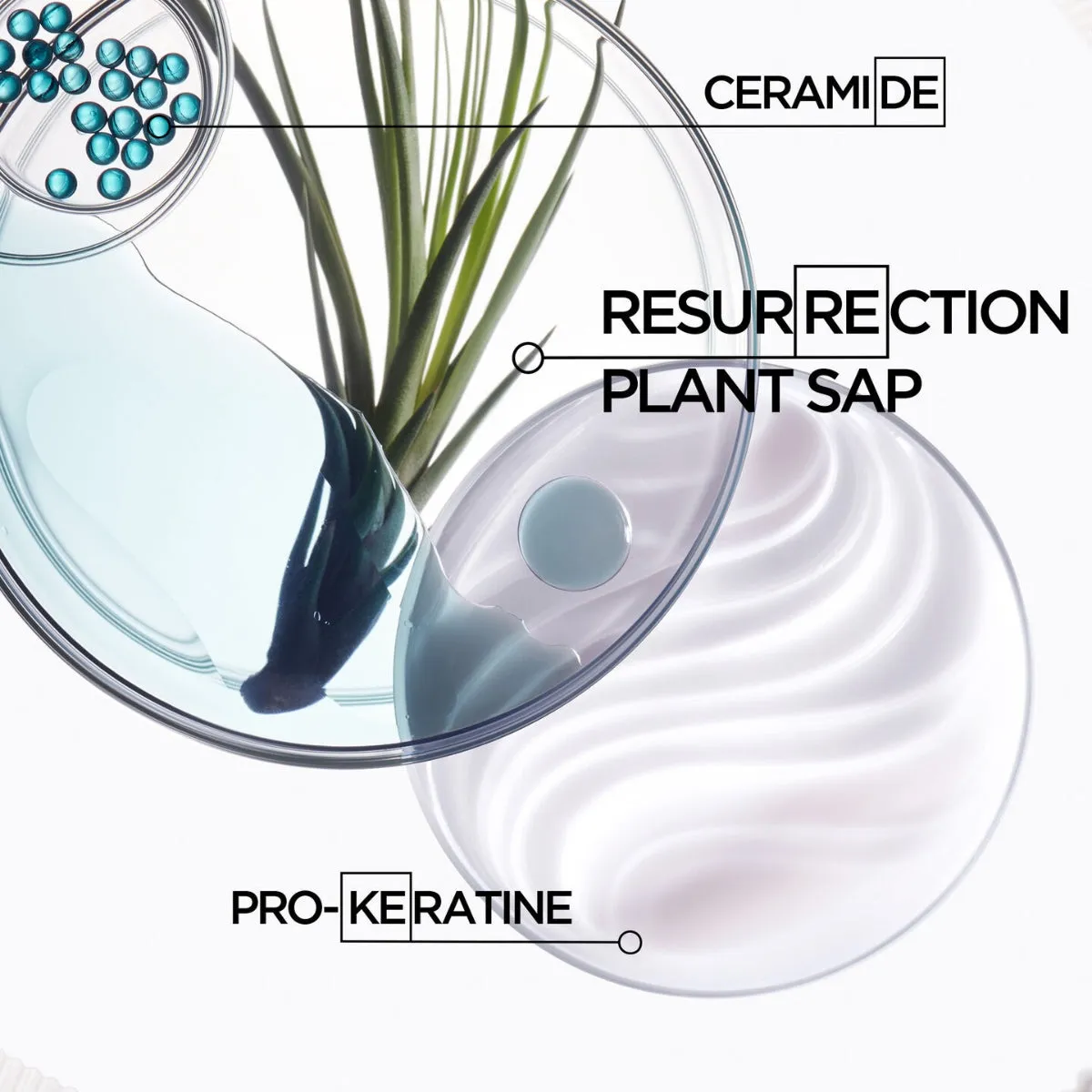 Kérastase Resistance Ciment Thermique