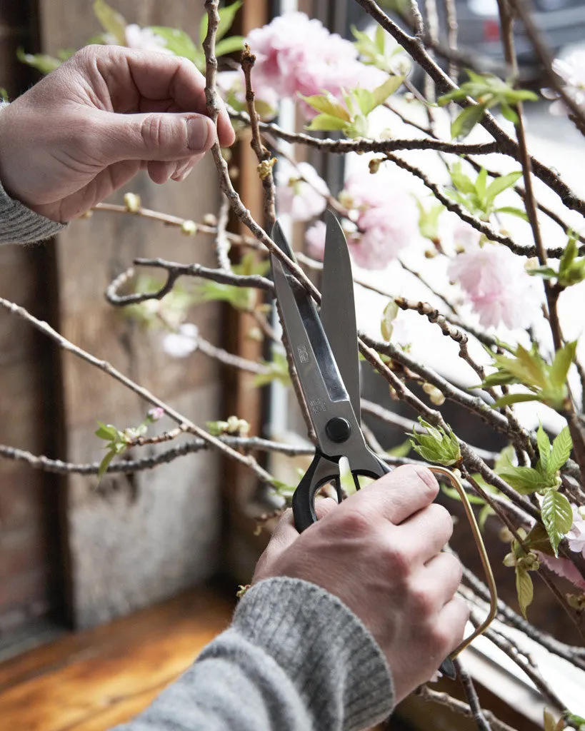 Landscaping Shears