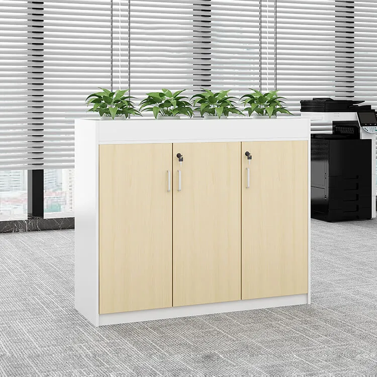 Office Partition Cabinet with Simple Modern Planter Low Cabinet