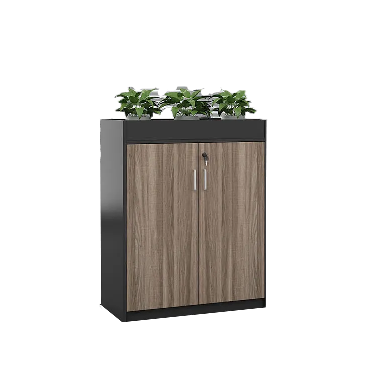 Office Partition Cabinet with Simple Modern Planter Low Cabinet