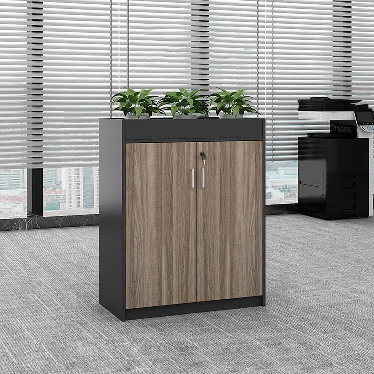 Office Partition Cabinet with Simple Modern Planter Low Cabinet