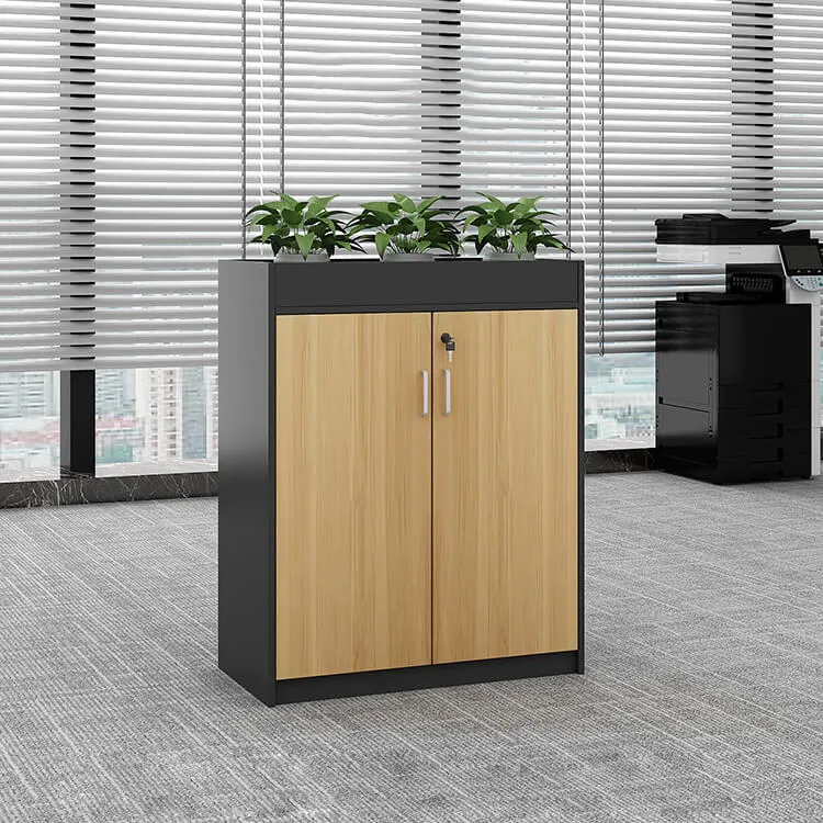 Office Partition Cabinet with Simple Modern Planter Low Cabinet