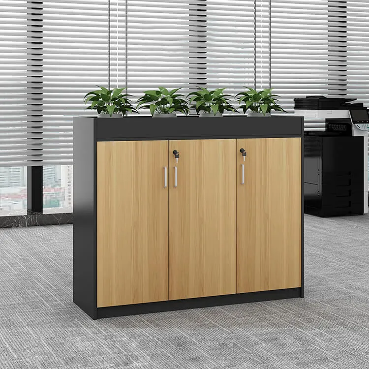 Office Partition Cabinet with Simple Modern Planter Low Cabinet