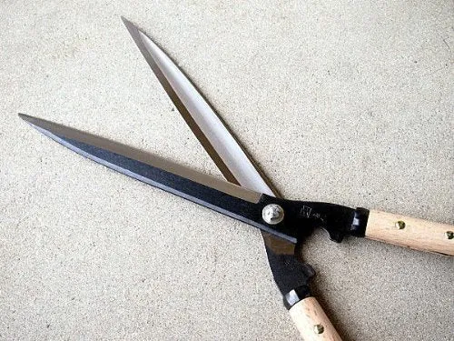 "SAHO" Hedge/Gardening Shears 270mm(10.6"), with Short Wooden Handle, Aogami Steel, Japan