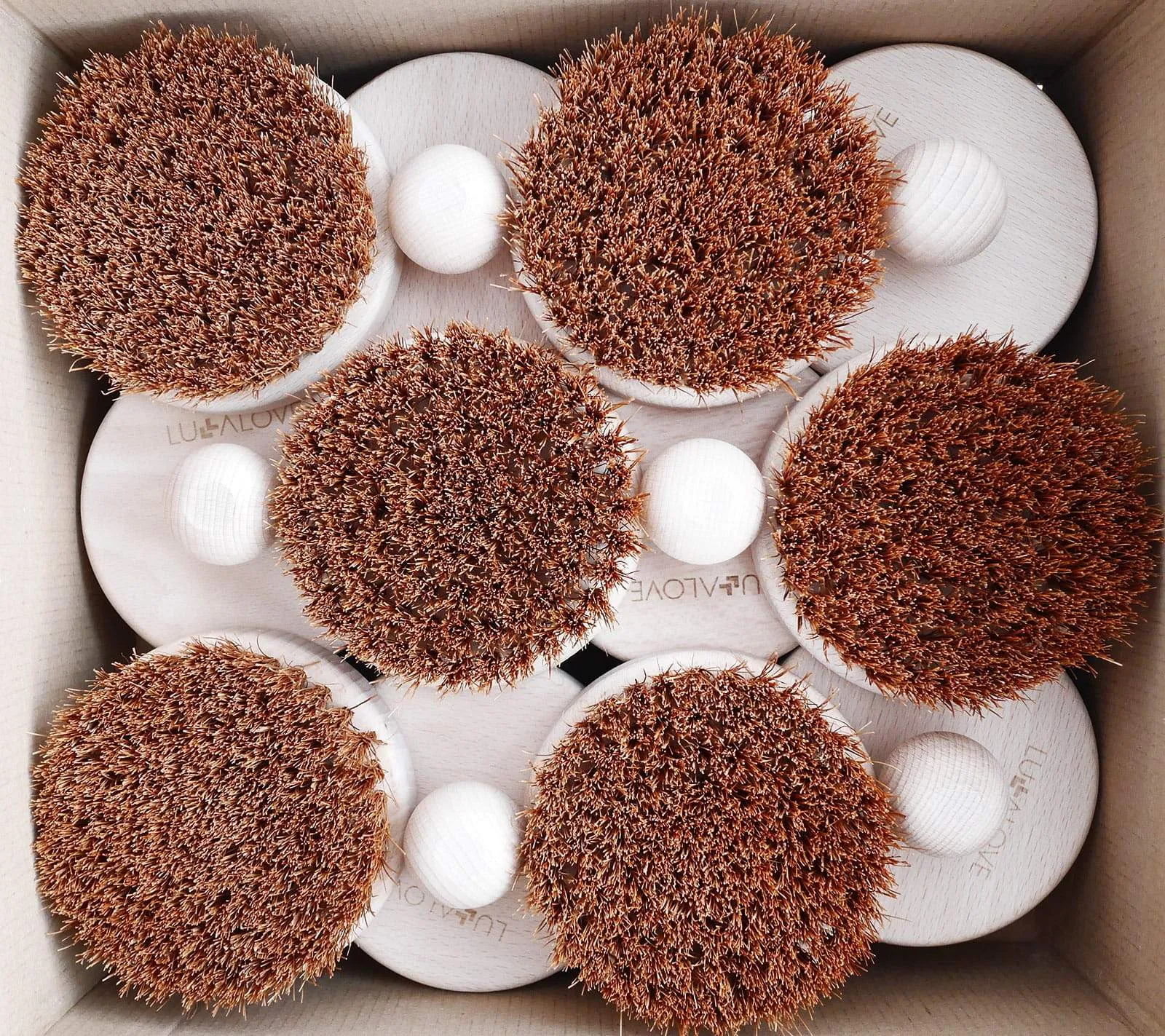 Sharp Coconut Body Brush - Round - Coconut Fibre