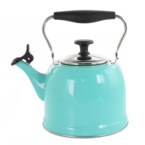 Stainless Steel Teapot Kettle