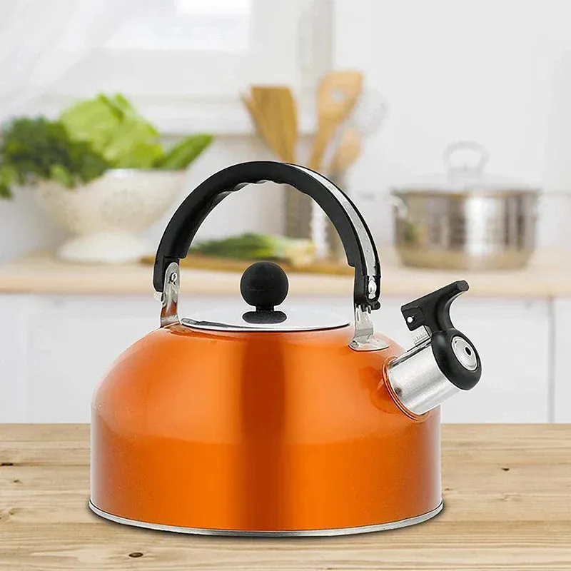 Stainless Steel Whistling Tea Kettle 3L