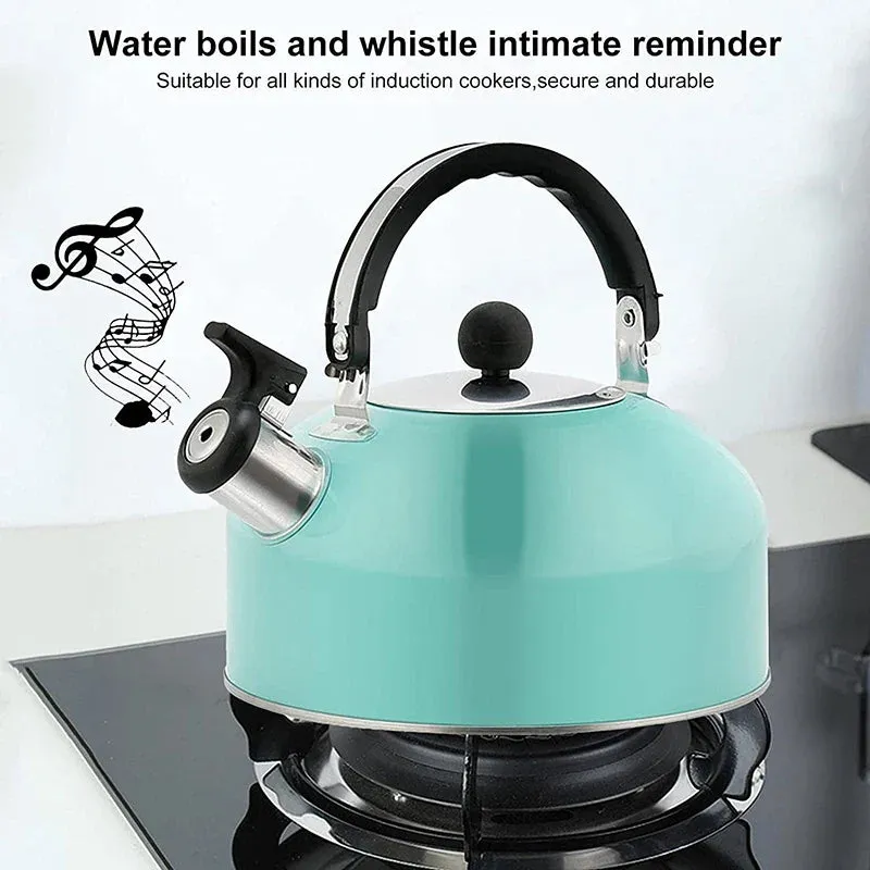 Stainless Steel Whistling Tea Kettle 3L