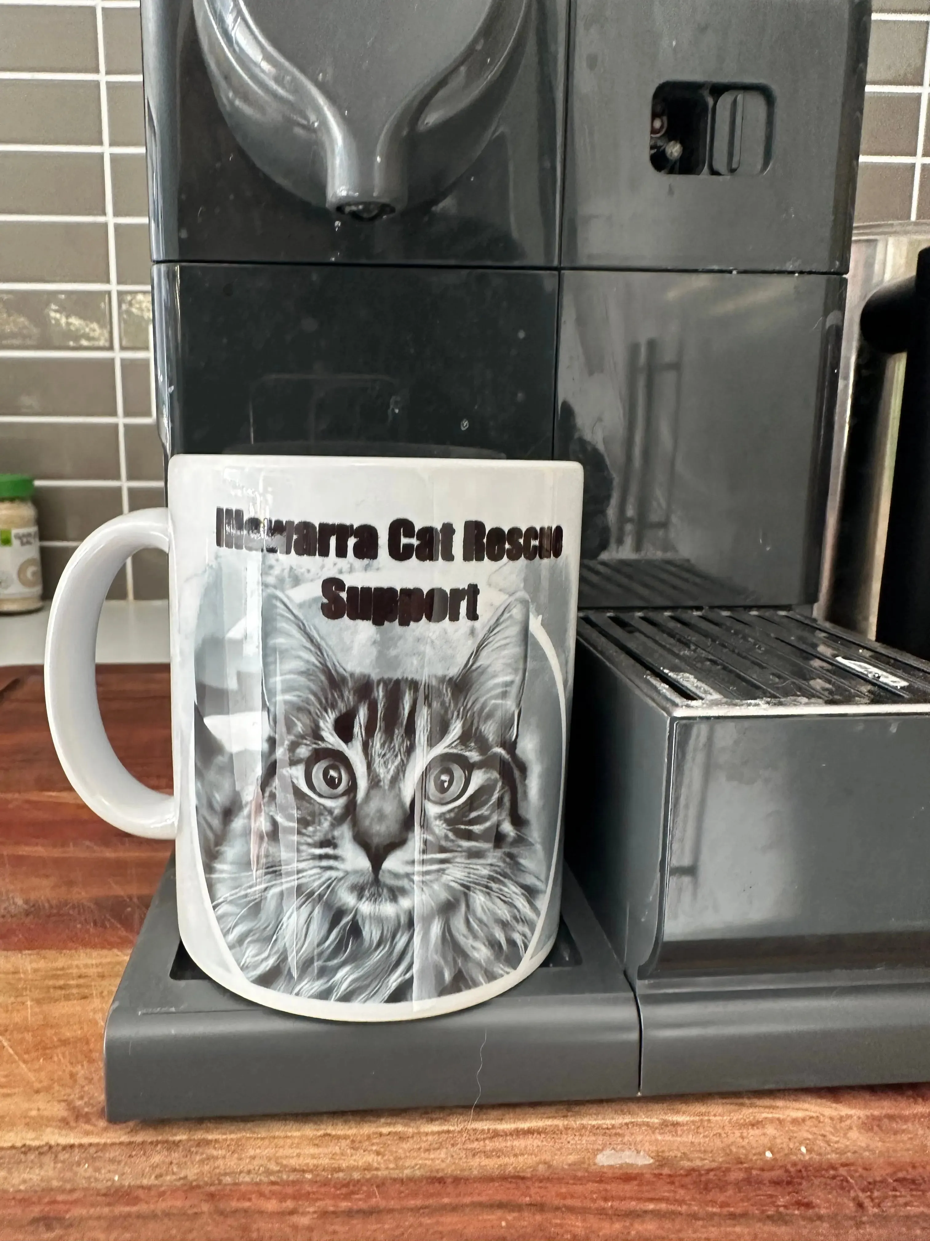 Supporters Mug - ICRS