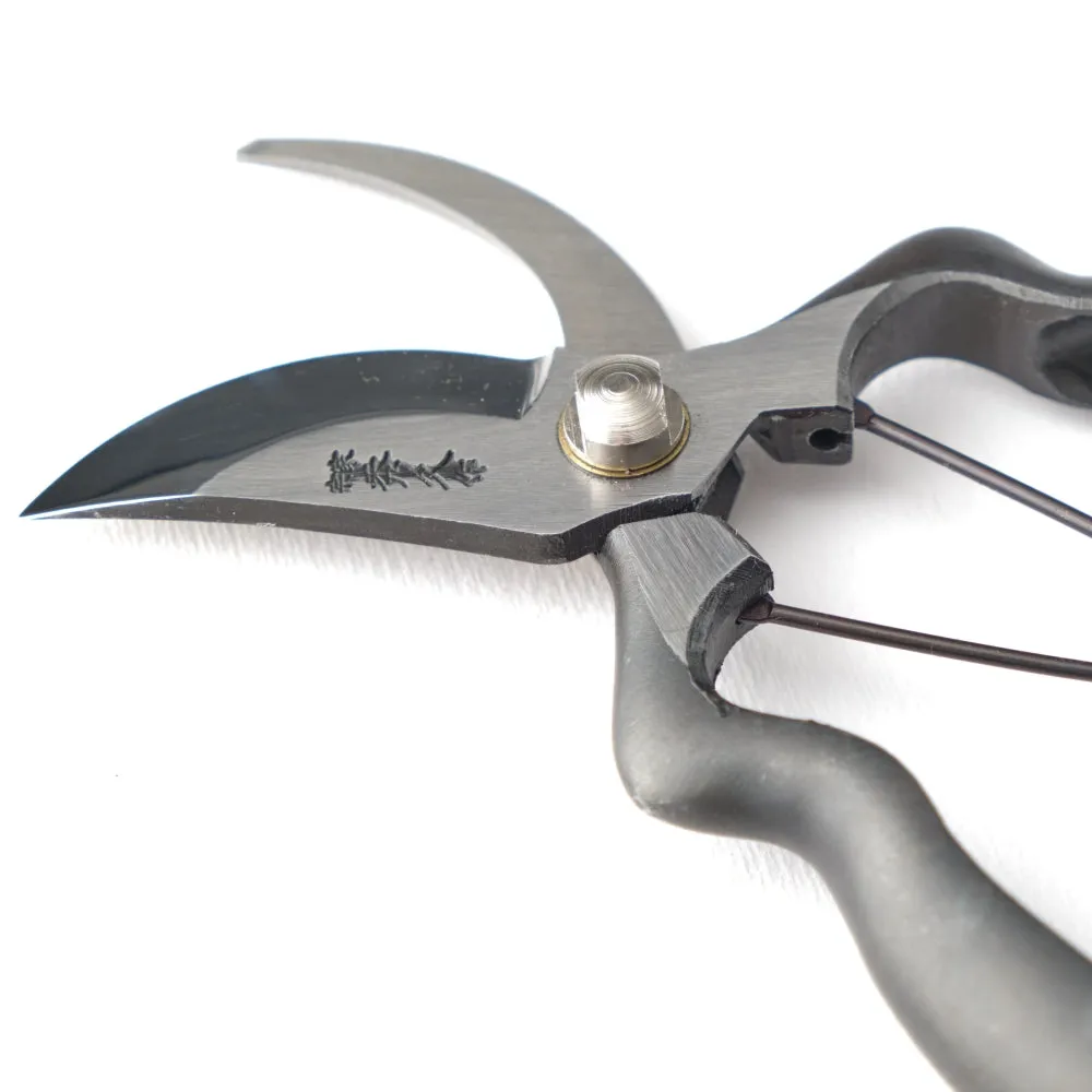 T-21 Secateurs