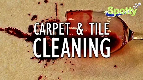 The SPOTTY™ ~ Carpet & Tile Cleaning Brush