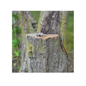 Tree Stump Face Towel